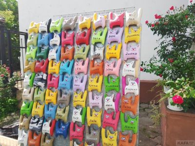 � �������� ���������� ������� �������� ��������