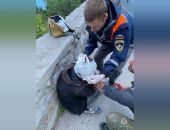 � ����� ��������� ������� �������, ������� ���������� � ������ �� ���� �����