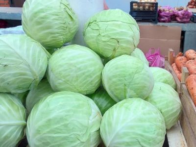 �� ����� � ����� ������ ����� ���������� ������� 
