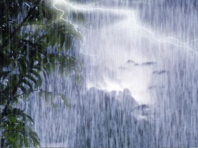  � ����� �� ��������� �������� ������ 44 �� ������� �� ���� �������������� �����