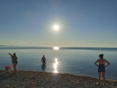 � ����� � �������� ��������� ���������� ������