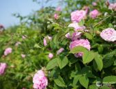 � ����� ���� �������� ������ ������ �������������� ����, ����� �������� �������