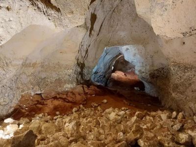 � ������ �������� � ����� ����� ���������� ����� ������� ���� 