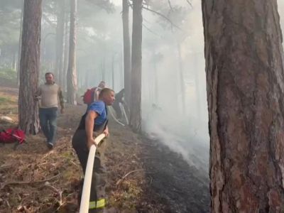 � ���� ������ ����� �� 3,2 ��������