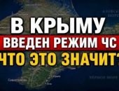 � ����� ����� ��: ��� ��� ������?