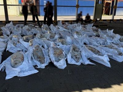 � ����� ���������� 500 �� ������� �� ��������, ���������� � ��������� ����