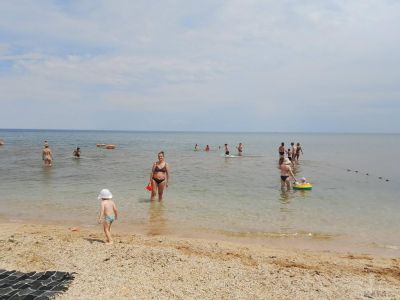 ��������: ��� ���-�� �������� ����