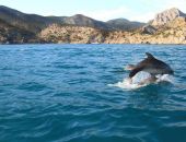 � ����� �������� ������ ���� ���������� � ������ 