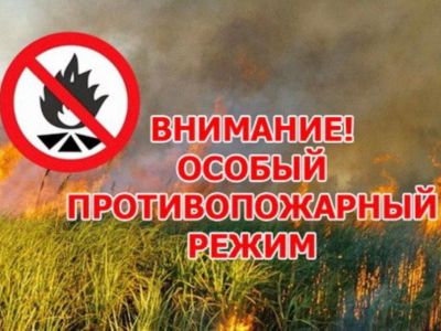 � ����� �������� ����������� �� ���������� � �����