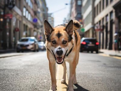 � ����������� �������� ������� ������, ���������� 9-������� ��������
