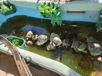 ���� � ��������: ���� ������ �� �����
