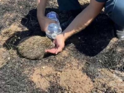 � ����� ������ ��� �� ������ 