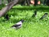 � ����� ����� ������� ������������� ������������ ������