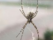 � ����� �������� ���������� ����� 