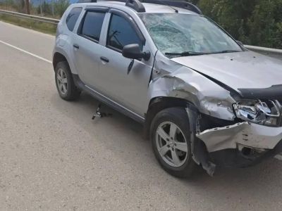 ����������  �������� ���� 12-������ ������� �� ���������� � �������������� ������
