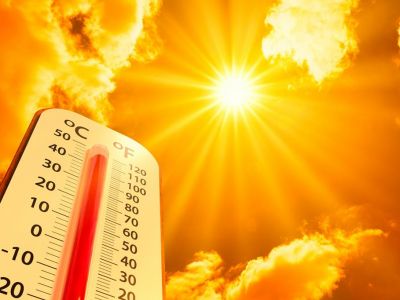 � ����� ����� ����� +35� 