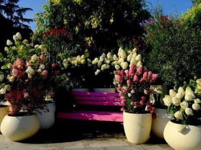 � ���� ��������� ����� ������� �������� �� ����� ��������� 