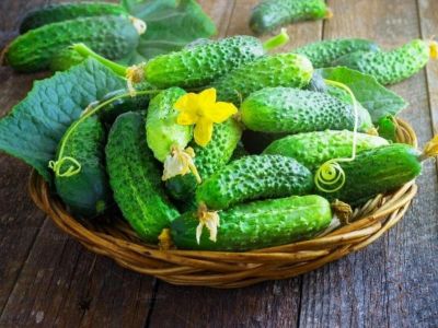 �� ����� � ����� ������ ����� ���������� ������ 