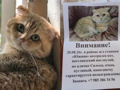 � ����� ���� ������������� ���� ������ �� ������