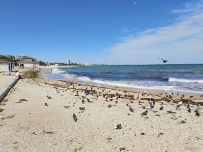 ��������: ��������� ���� ����...