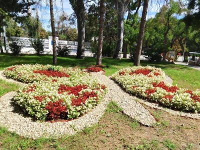 ��������: ��������� ���� ����...