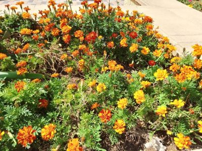 ��������: ��������� ���� ����...