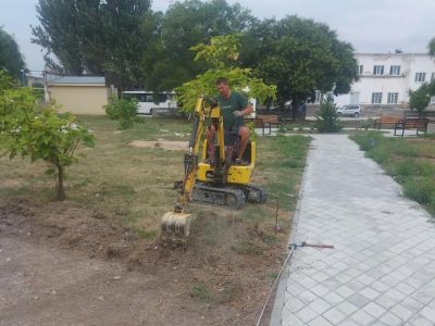 � �������� ����������� ������� ������������� ��������������