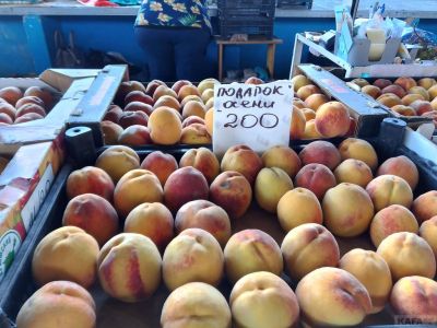 ����� ��������: ���������� ����, ���������� �������� � ������