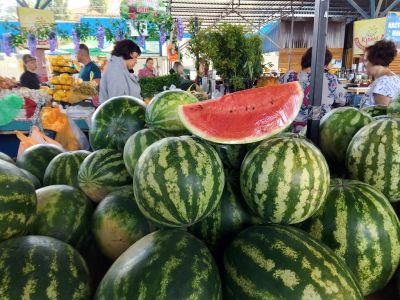 ����� ��������: ���������� ����, ���������� �������� � ������