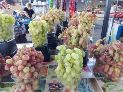 ����� ��������: ���������� ����, ���������� �������� � ������