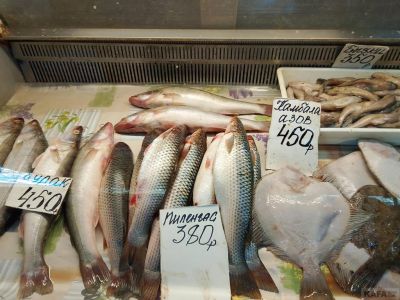 ����� ��������: ���������� ����, ���������� �������� � ������