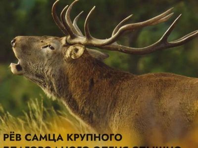 � ����� ��� ����� �� � ���� ��������� ������ ���