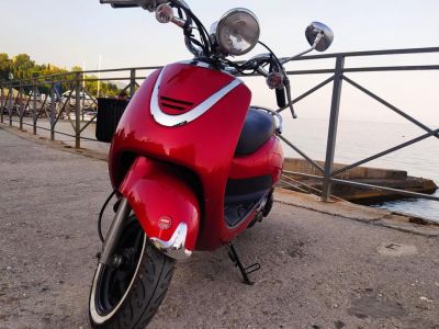 � ���� ����������� ���������� 36 ����������� ������� � ����� 