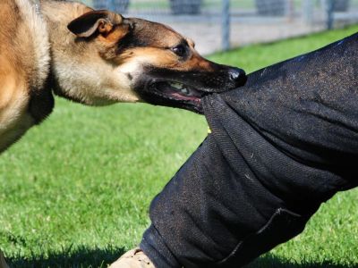 � ���������� � �������� ����� ��������� ������ ������ ��������