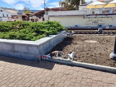 � �������� ������� ����� ����������