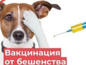 � ����� ��������� �� ��������� ����� ������ �������� �������� ����� ������ ������� 