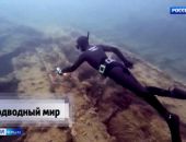 ��� ����� ������  ������-������������ ����������� ���������� ������������ ������� �����