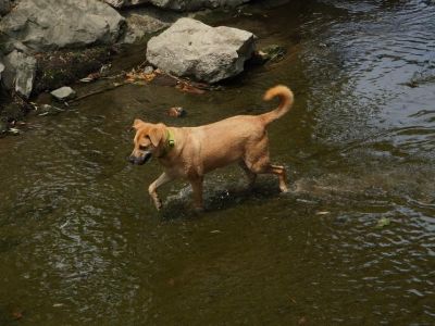 � ������ ��������� �������� 30 ����� ������ �� ���� ��������� ������