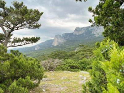 � ����� ���� ������ �� ��������� ������������