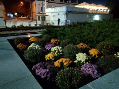 �������� ��������: �������� ���������