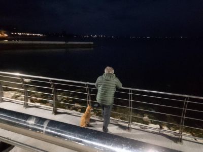 �������� ��������: �������� ���������