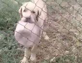 � ����������� ������ ������� ���������� ������� ������