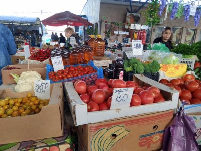 ����� ��������:  �������� � ���� ��������