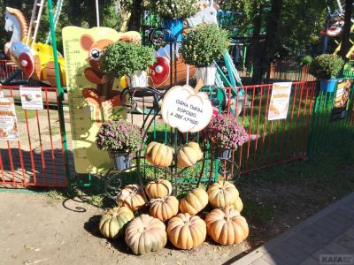 11 ������� � �������� �������� ���������