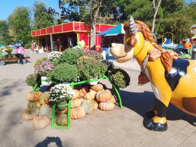 11 ������� � �������� �������� ���������