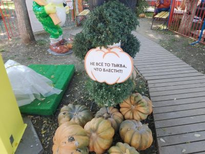 11 ������� � �������� �������� ���������