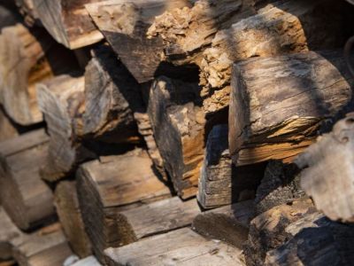 � ����� ���������� �����: ����� ����