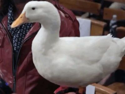 ����� � ����� �������� � ����� ������� ������ 5 ��� ���������� 