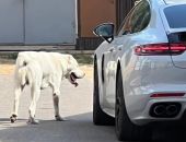 � ����� ������ ��������� ������, �������� ����� �������� ����� � ������������� 