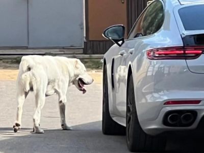 � ����� ������ ��������� ������, �������� ����� �������� ����� � ������������� 